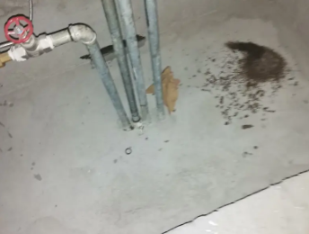 润州卫生间测漏水价格明细